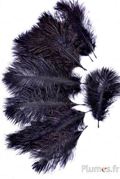 Struisvogel Bellies -8-13 cm - koffie